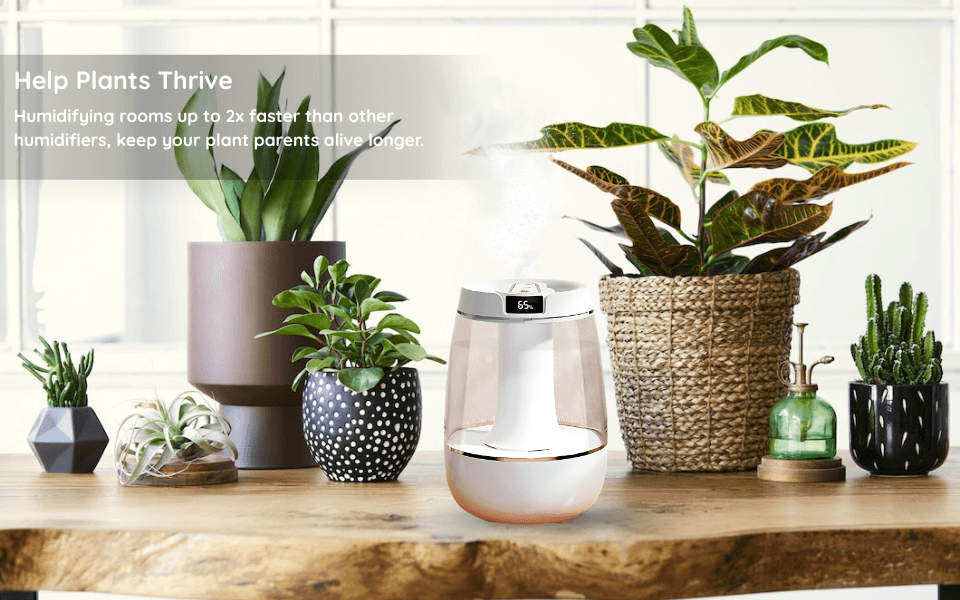 WeFilter Humidifier - Image 3